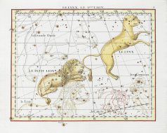 Carte céleste ancienne - Le Lynx - le Petit Lion