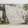 Carte géographique ancienne de la Martinique