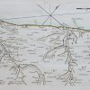 Carte marine ancienne de Dieppe à Eu