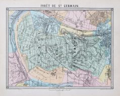 Plan ancien de la forêt de Saint-Germain