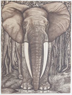 L’éléphant - Eau-forte originale