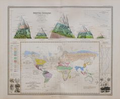 Géographie botanique mondiale