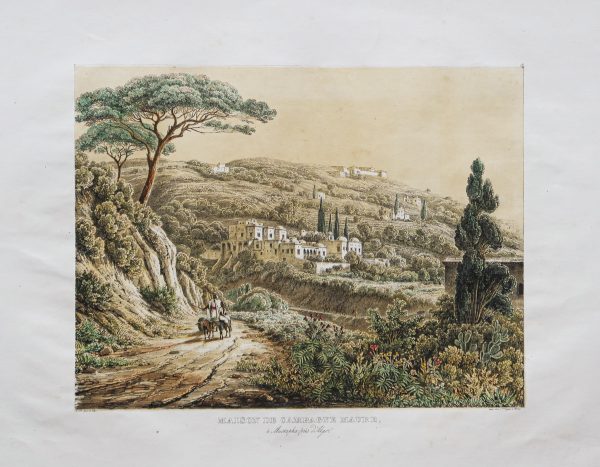 Lithographie ancienne de Mustapha - Alger