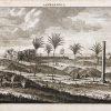Panorama ancien d’Alexandrie - Egypte