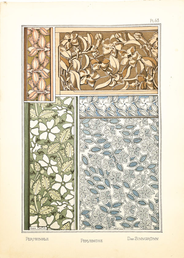 Fleurs & ornementations Art Nouveau