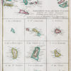 Carte géographique ancienne des Antilles