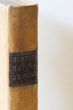 Jonston Jan - Histoire Naturelle
