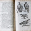 Jonston Jan - Histoire Naturelle