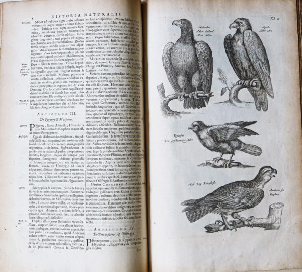Jonston Jan - Histoire Naturelle
