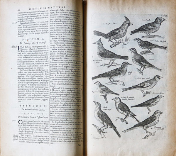 Jonston Jan - Histoire Naturelle