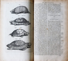 Jonston Jan - Histoire Naturelle