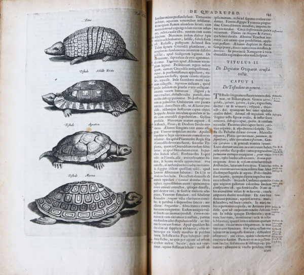 Jonston Jan - Histoire Naturelle