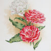 Lithographie ancienne - Fleurs - Botanique