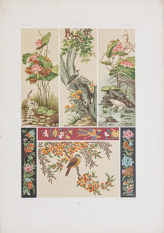 Gravure ancienne - Ornementations