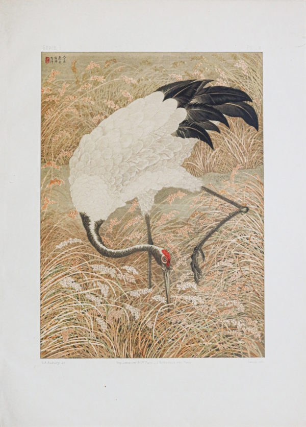 Lithographie ancienne - Japon