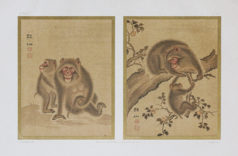 Lithographie ancienne - Japon