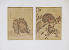 Lithographie ancienne - Japon