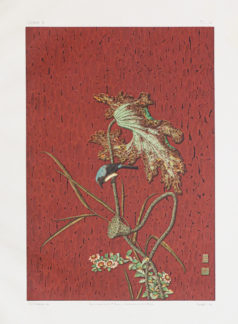 Lithographie ancienne - Japon