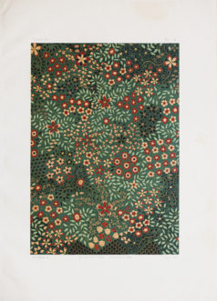 Lithographie ancienne - Japon