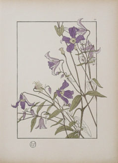 Art Nouveau