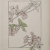 Art Nouveau