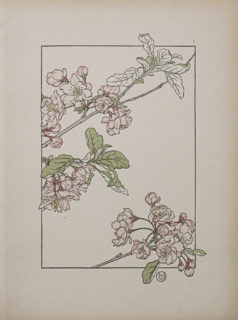 Art Nouveau
