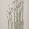 Art Nouveau