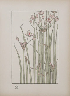 Art Nouveau