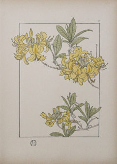Art Nouveau