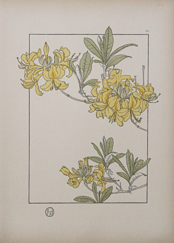 Art Nouveau