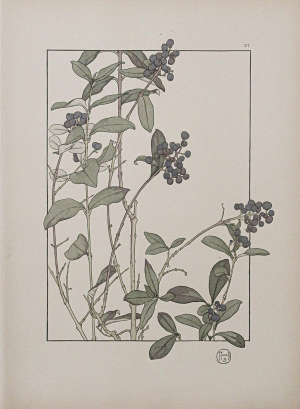 Art Nouveau