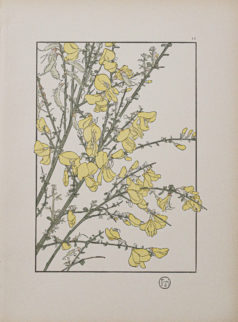 Art Nouveau