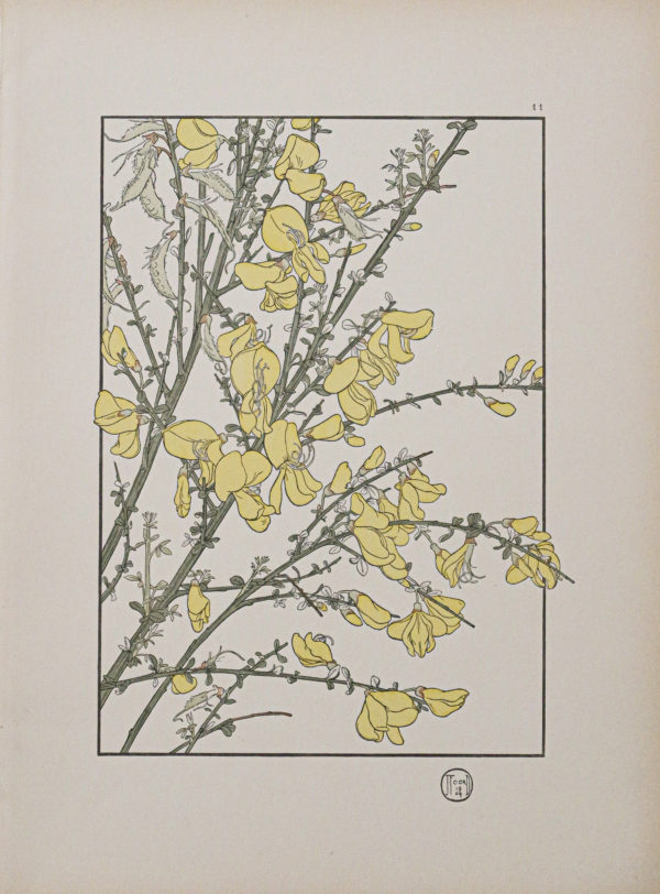 Art Nouveau