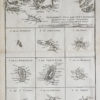 Carte géographique ancienne des Antilles