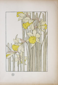 Art Nouveau