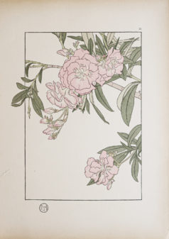 Art Nouveau