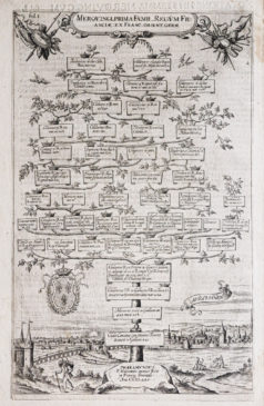 Arbre généalogique - Familles Mérovingiennes