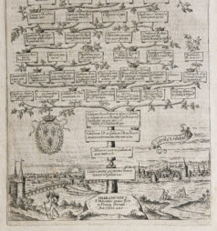 Arbre généalogique - Familles Mérovingiennes