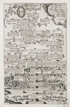 Arbre généalogique - Familles de Blois