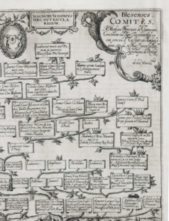 Arbre généalogique - Familles de Blois