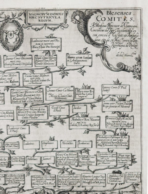 Arbre généalogique - Familles de Blois