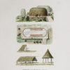 Gravure ancienne - Papouasie - Nouvelle Guinée