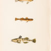 Gravure ancienne - Goby
