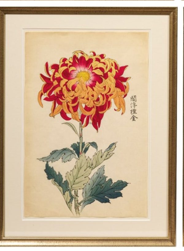 Chrysanthèmes - HASEGAWA Keika – Image 6