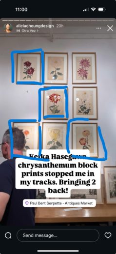 Chrysanthèmes - HASEGAWA Keika