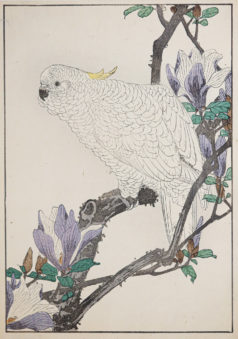 KEINEN Imao - Fleurs et oiseaux