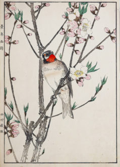 KEINEN Imao - Fleurs et oiseaux