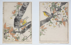 KEINEN Imao - Fleurs et oiseaux