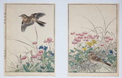 KEINEN Imao - Fleurs et oiseaux