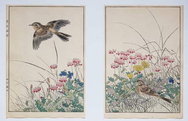 KEINEN Imao - Fleurs et oiseaux